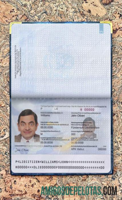 Look fotográfico do passe de Liechtenstein amostra